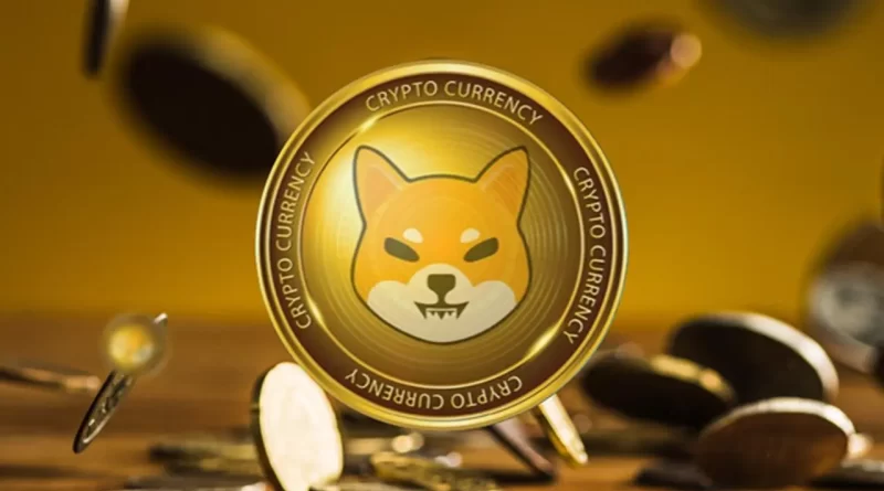 Shibu Inu coin