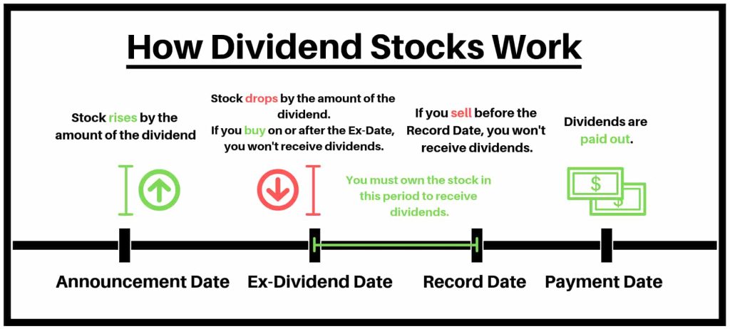 How dividend stocks works